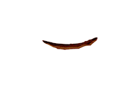kelloggs_rus krave kravebreakfast kravewinter kravechoco Sticker