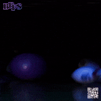 Magic Giants GIF by Marcel Katz / The Art Plug