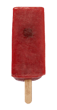 Summer Ice Sticker by Paleta Loca