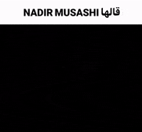 Nadir Musashi GIF