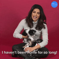 Priyanka Chopra Pc GIF by BuzzFeed