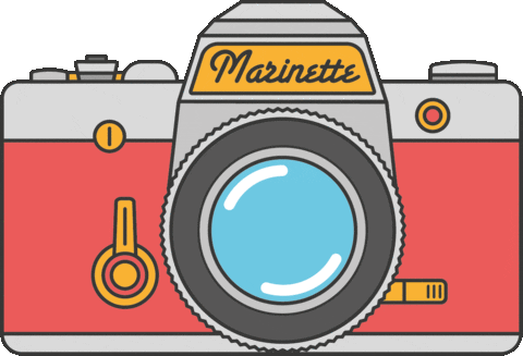 MarinetteVintage giphyupload film vintage analog GIF