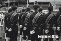 Armed Forces Army GIF by Formación Ninja