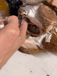 Making Of Diy GIF by Alex Boya