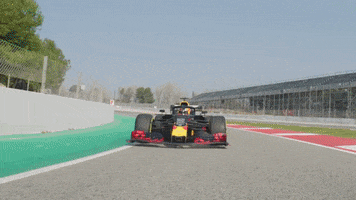redbullracing france 2019 f1 french GIF