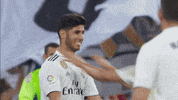 la liga real madrid 18/19 season GIF by Real Madrid
