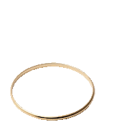 Gold Jewelry Sticker by Erica Woolston