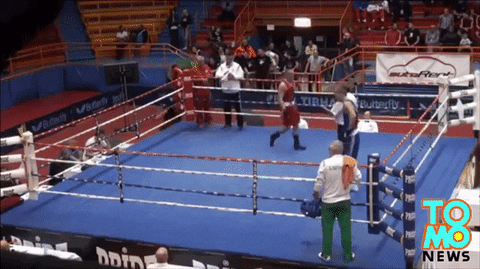 thethao24hVN giphyupload sports boxing GIF