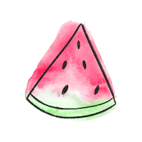 LeighElizabethStudio orange fruit lemon watermelon Sticker