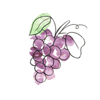 LeighElizabethStudio orange fruit lemon watermelon Sticker