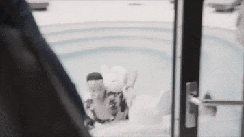 Drunk Love And Hip Hop GIF by VH1
