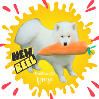Dog Sticker Sticker