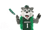 Suny Binghamton GIF by Binghamton University