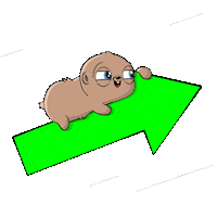 Happy Money Sticker by Fugz Official