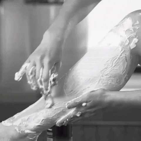 Anatomylaborg giphyupload GIF