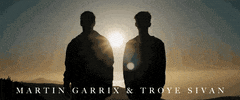 martin garrix troye sivan there for you GIF by Columbia Records UK