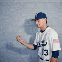Brigham Young Byu Baseball GIF by BYU Cougars