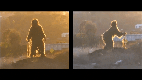 HokieRif giphygifmaker exum GIF