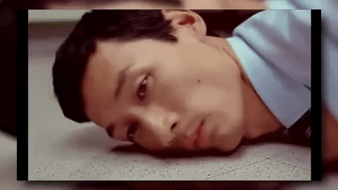 Qbi giphygifmaker sneakysnek GIF