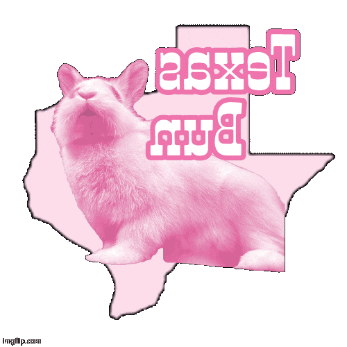 hopperhortonbunny bunny rabbit hopper hoppie Sticker