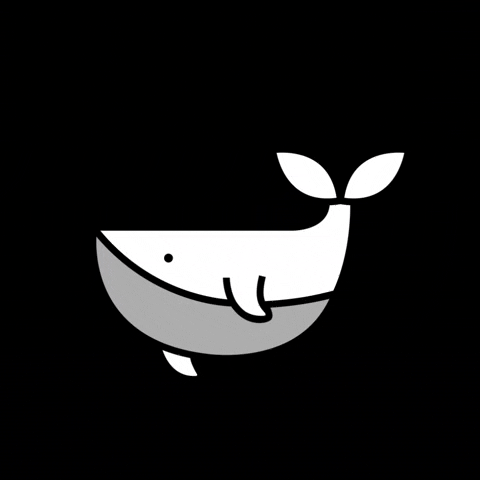 BrandOpus giphyupload brandopus GIF