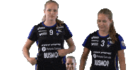 Floorball Salibandy Sticker by F-liiga