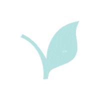 paperflaneur nature green leaf turquoise Sticker