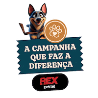 Rexprime Sticker by Xprime Academia