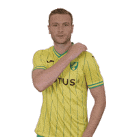 Premier League Soccer Sticker by Norwich City Football Club
