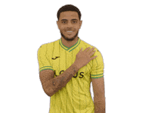 Premier League Soccer Sticker by Norwich City Football Club