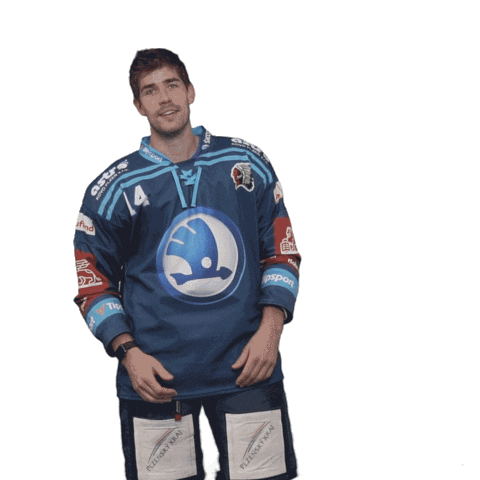 Hockey Thumbs Up Sticker by HC Škoda Plzeň