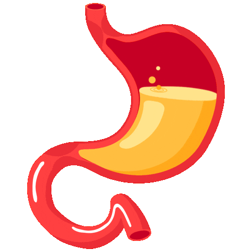Fruits Vegetables Sticker by Be My Bariatric - Dr. Luis Zavala