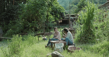 But The Vibrations...