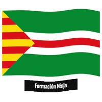 Flag Spain Sticker by Formación Ninja