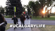 canada canadian universities GIF by University of Calgary