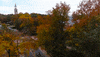 chapel hill fall GIF