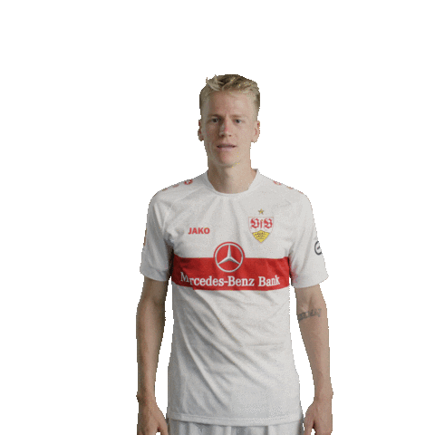 Sorry Not Sorry Football Sticker by VfB Stuttgart