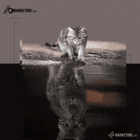 FlySMarketing selflove loveyourself thefutureisbright loveyourselffirst GIF