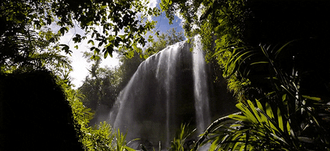 beauty waterfall GIF by Jerology