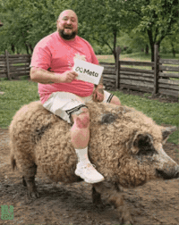 Facebook Meta GIF by Duhul Rautatilor