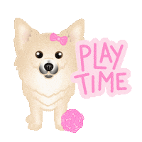 Play Time Pomeranian Sticker by zoopeez