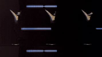 Video Art GIF by cskonopka