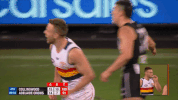 adelaidecrows goal reactions celebrations adelaide crows GIF