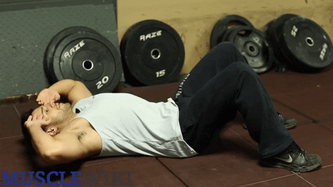 loop crunches GIF