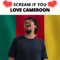 Cameroon Flag Cm GIF