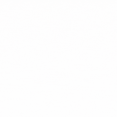 TraceyHernly giphyupload GIF