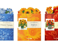 FreshCutPaper flowers mail sunflowers fcp GIF