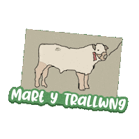 Y Trallwng Sticker