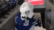 Happy National Hockey League GIF by NHL