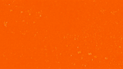 Cunningham GIF by Flint Firebirds